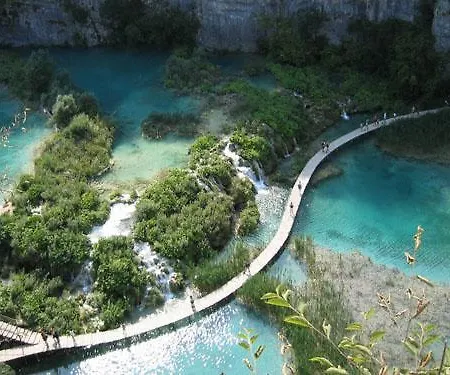 Nekic Zadar